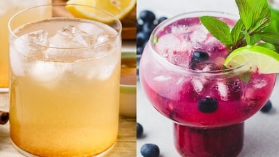 Booster shot to blueberry kombucha Booster shot to blueberry kombucha