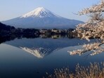 Authorities in Japan are considering a Chinese-made transport system for Mount Fuji instead of a light railway.(REUTERS)