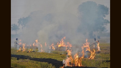 Farmers burn stubble in a rice field in Mansa. (REUTERS)
