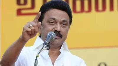 Tamil Nadu chief minister MK Stalin. (File)