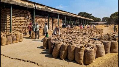 This season paddy has cultivated over 32 lakh hectares and the total yield is expected to cross 230 lakh tonnes. (REUTERS)
