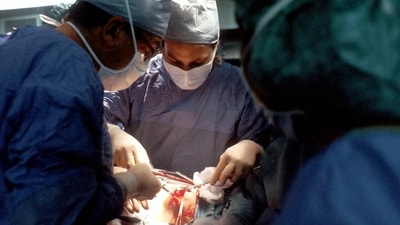The new helpline service, 18004258330, which operates 24/7 will assist individuals seeking expert advice on joint replacement surgeries in Karnataka. (Representative image - Unsplash) The new helpline service, 18004258330, which operates 24/7 will assist individuals seeking expert advice on joint replacement surgeries in Karnataka. (Representative image - Unsplash)