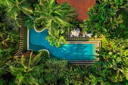 The property features a tropical landscape with tall coconut trees and a pool. (PC: Airbnb) The property features a tropical landscape with tall coconut trees and a pool. (PC: Airbnb)