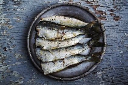 Fishes are an excellent source of omega-3 fatty acids. (Pixabay) Fishes are an excellent source of omega-3 fatty acids. (Pixabay)