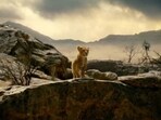 Mufasa: The Lion King will release on December 20. Mufasa: The Lion King will release on December 20.
