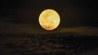 A full moon rises above Singapore on November 16, 2024. (Photo by Roslan RAHMAN / AFP) (AFP) A full moon rises above Singapore on November 16, 2024. (Photo by Roslan RAHMAN / AFP) (AFP)