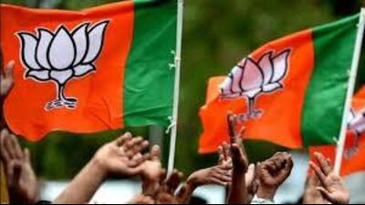 Party insiders suggest that the revamp will take place alongside BJP’s internal organisational elections which are expected to commence in December this year. (HT File) Party insiders suggest that the revamp will take place alongside BJP’s internal organisational elections which are expected to commence in December this year. (HT File)