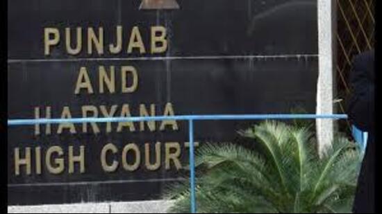 Punjab government had objected to roping in Survey of India. (HT File)