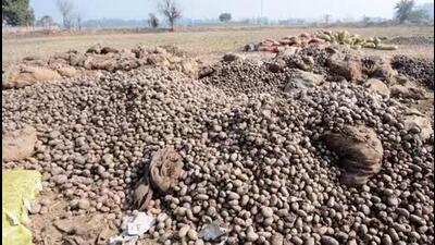An official said that the contractor abused and beat the workers whenever they asked for remuneration and food. (HT File)