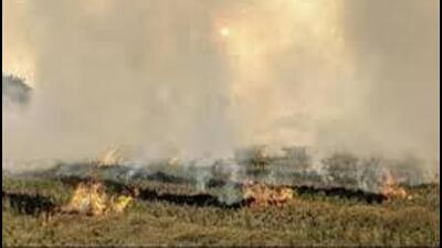 Despite stringent action against defaulters, farm fire cases are being recorded from different parts of Punjab. (HT File)