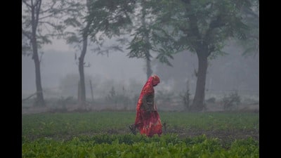 Government solutions trotted out every year when pollution levels reach critical levels seem to be oblivious to the reality of the lives of the poor and the marginalised (PTI) Government solutions trotted out every year when pollution levels reach critical levels seem to be oblivious to the reality of the lives of the poor and the marginalised (PTI)
