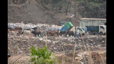 The memorandum underscored the non-compliance issues at the existing dumping ground in Jhuriwala. (HT File Photo)