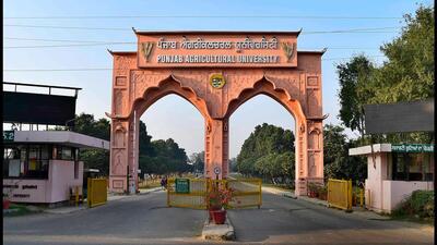 Dr Aulakh claimed that he had received a VIP pass for the Independence Day function at Punjab Agricultural University (PAU), Ludhiana, but upon turning up at the venue, he was told that his name was not there on the list of official guests. When he protested and showed his credentials, officers on the spot reportedly misbehaved with him. (HT Photo) Dr Aulakh claimed that he had received a VIP pass for the Independence Day function at Punjab Agricultural University (PAU), Ludhiana, but upon turning up at the venue, he was told that his name was not there on the list of official guests. When he protested and showed his credentials, officers on the spot reportedly misbehaved with him. (HT Photo)