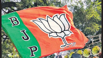 Many Mahayuti heavyweights retained their strongholds. (PTI) Many Mahayuti heavyweights retained their strongholds. (PTI)