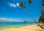 Embrace the sunshine in coastal destinations for winter. Embrace the sunshine in coastal destinations for winter.