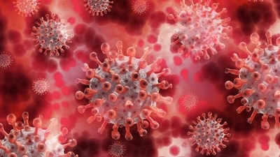 The study states that COVID-19 can be the antidote to the fast-growing cancerous cells, and help them shrink. (Pixabay) The study states that COVID-19 can be the antidote to the fast-growing cancerous cells, and help them shrink. (Pixabay)