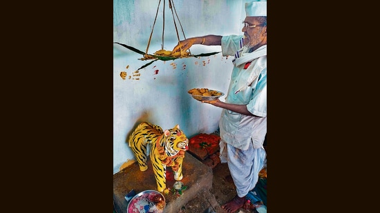 A village elder offers sweets to Waghoba, the “kuladevta” of the Chimurkar community. (Ashraf Shaikh)
