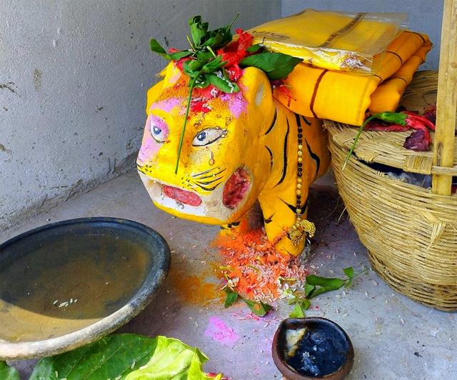 A shrine dedicated to Waghoba in Chandrapur district. (Ashraf Shaikh) A shrine dedicated to Waghoba in Chandrapur district. (Ashraf Shaikh)