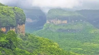 India framed its first biodiversity action plan as a national policy in 1999. (HT file photo) India framed its first biodiversity action plan as a national policy in 1999. (HT file photo)