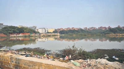 NGT was hearing a case related to the revival of a pond in Vasant Kunj which has been contaminated by sewage. (Vipin Kumar/HT photo)