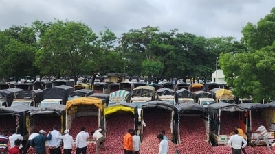 One of the factors for Mahayuti’s resounding success in state assembly polls was the strong backing of Maharashtra’s onion farmers. ((PIC FOR REPRESENTATION)) One of the factors for Mahayuti’s resounding success in state assembly polls was the strong backing of Maharashtra’s onion farmers. ((PIC FOR REPRESENTATION))