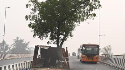 One of the trees in the middle of the carriageway of the flyover between Anand Vihar and Dilshad Garden in New Delhi on Monday. (Arvind Yadav/HT Photo) One of the trees in the middle of the carriageway of the flyover between Anand Vihar and Dilshad Garden in New Delhi on Monday. (Arvind Yadav/HT Photo)