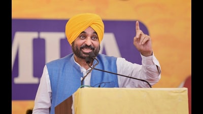 Punjab CM Bhagwant Mann (PTI)