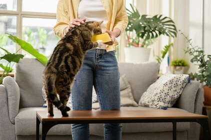The diet needs to be balanced. (Pexels) The diet needs to be balanced. (Pexels)