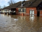 Swans swim by a restaurant in a flooded area near Billing Aquadrome, in the aftermath of Storm Bert, near Northampton, Britain 