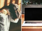 A woman’s post accusing her company of gender discrimination has gone viral. A woman’s post accusing her company of gender discrimination has gone viral.