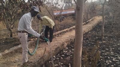 In June 2020, the Ministry of Environment, Forest and Climate Change (MoEFCC) declared Warje urban forest, also known as Smriti Van, as the country’s role model for setting up the green belt under public-private partnership. (HT PHOTO) In June 2020, the Ministry of Environment, Forest and Climate Change (MoEFCC) declared Warje urban forest, also known as Smriti Van, as the country’s role model for setting up the green belt under public-private partnership. (HT PHOTO)