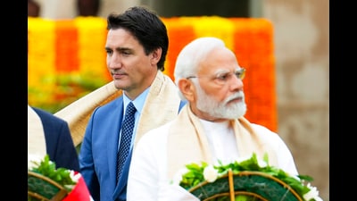 Recently, the Canadian government has tightened rules for international students and announced its new federal policy to limit immigration, citing economic pressures. Hundreds of Indian graduates are at risk of deportation and hence protested against this new policy (AP)