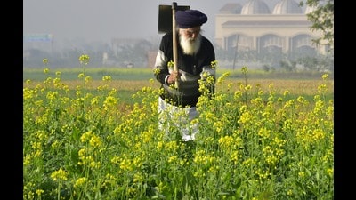 The pressing need is for investment in agriculture research and the development of new technologies that can weed out the second-generation problems of the Green Revolution (HT Photo) The pressing need is for investment in agriculture research and the development of new technologies that can weed out the second-generation problems of the Green Revolution (HT Photo)