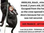 Amalka and its owner had stopped in Paris for a layover before moving to Dallas. They were traveling on an Air France flight that they boarded from Vienna. Amalka and its owner had stopped in Paris for a layover before moving to Dallas. They were traveling on an Air France flight that they boarded from Vienna.