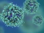 How cancer cells fend off starvation, death from chemotherapy