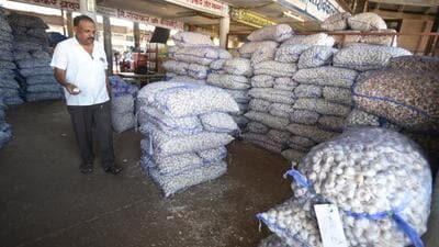 Imported garlic from Afghanistan at market Yard in Pune. (MAHENDRA KOLHE/HT PHOTO)