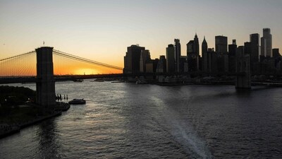 Warning issued as rare animal appears beneath Brooklyn Bridge (Photo by ANGELA WEISS / AFP - representational image) (AFP) Warning issued as rare animal appears beneath Brooklyn Bridge (Photo by ANGELA WEISS / AFP - representational image) (AFP)