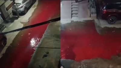 A liquid that looked like blood flooded Hyderabad streets. (Sourced) A liquid that looked like blood flooded Hyderabad streets. (Sourced)