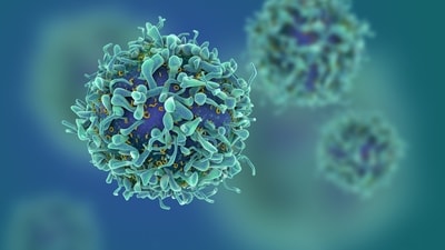 How cancer cells fend off starvation, death from chemotherapy (Shutterstock) How cancer cells fend off starvation, death from chemotherapy (Shutterstock)