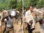 In the video, the crocodile can be seen on the man's shoulders as he carries it to be relocated. In the video, the crocodile can be seen on the man's shoulders as he carries it to be relocated.