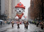 paw_patrol