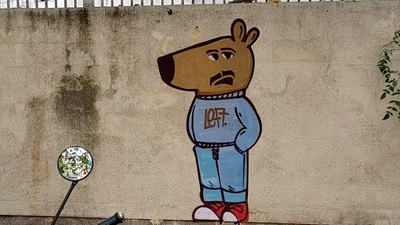 Wall painting of the "Chill Guy" in HSR Layout Sector 1. (X/@AnkitaxPriya) Wall painting of the "Chill Guy" in HSR Layout Sector 1. (X/@AnkitaxPriya)
