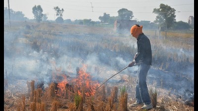 Post facto measures, such as the Graded Response Action Plan for NCR pollution, have proved painfully inadequate (HT Photo)