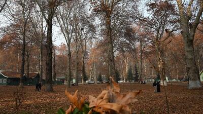 After a dry week, rain and snow is expected in parts of Kashmir from November 30. (Waseem Andrabi/HT)
