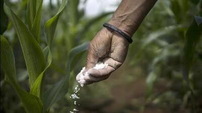 The four squads, led by joint director of agriculture (inputs) Gurjit Singh Brar, collected 12 samples of fertilisers and six of pesticides. (HT Photo)