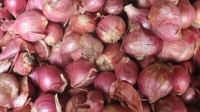 Onions were sold for ₹39 on Swiggy Instamart yesterday Onions were sold for ₹39 on Swiggy Instamart yesterday