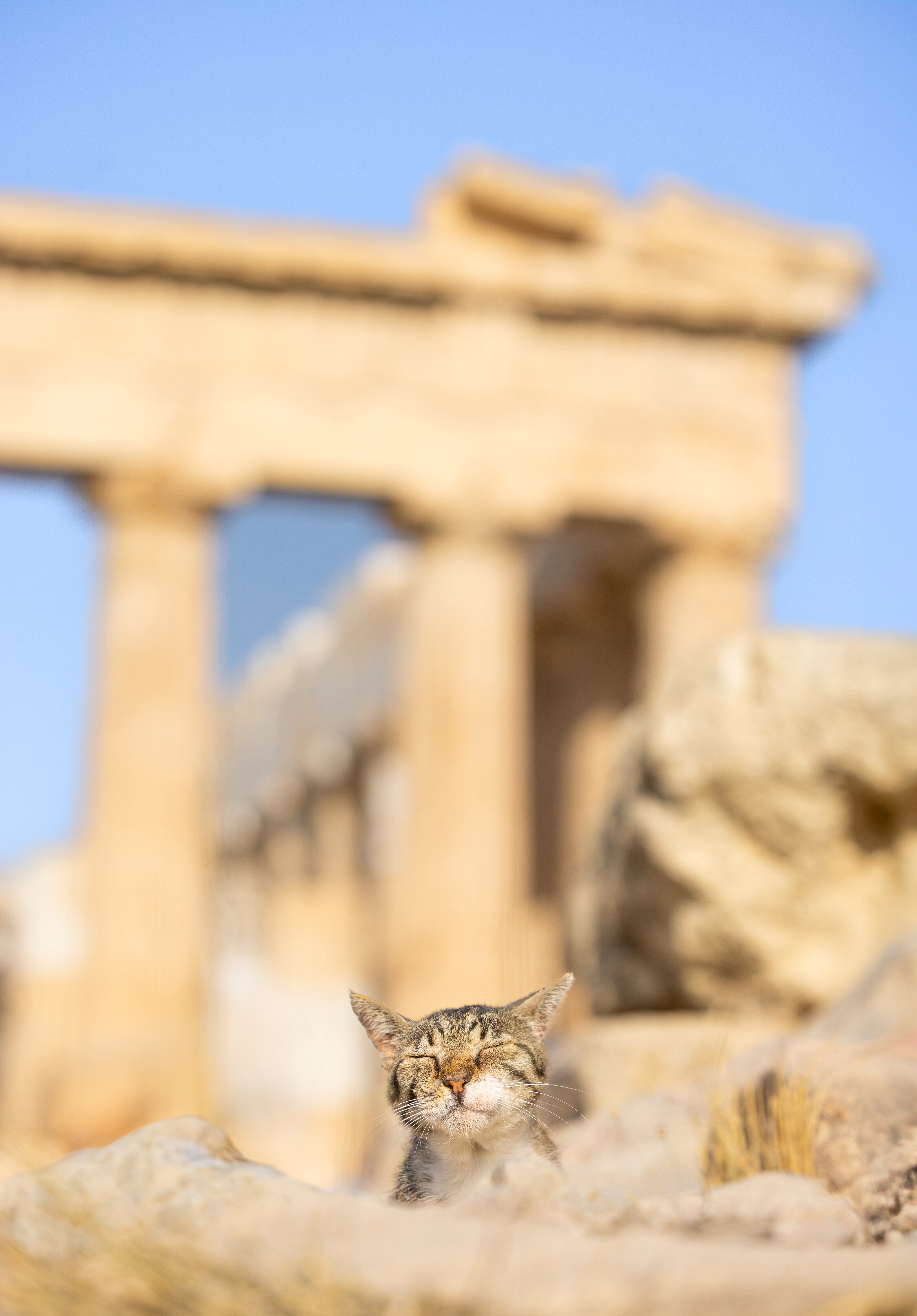 At an ancient temple in Greece. (Photo by Andrew Marttila) At an ancient temple in Greece. (Photo by Andrew Marttila)