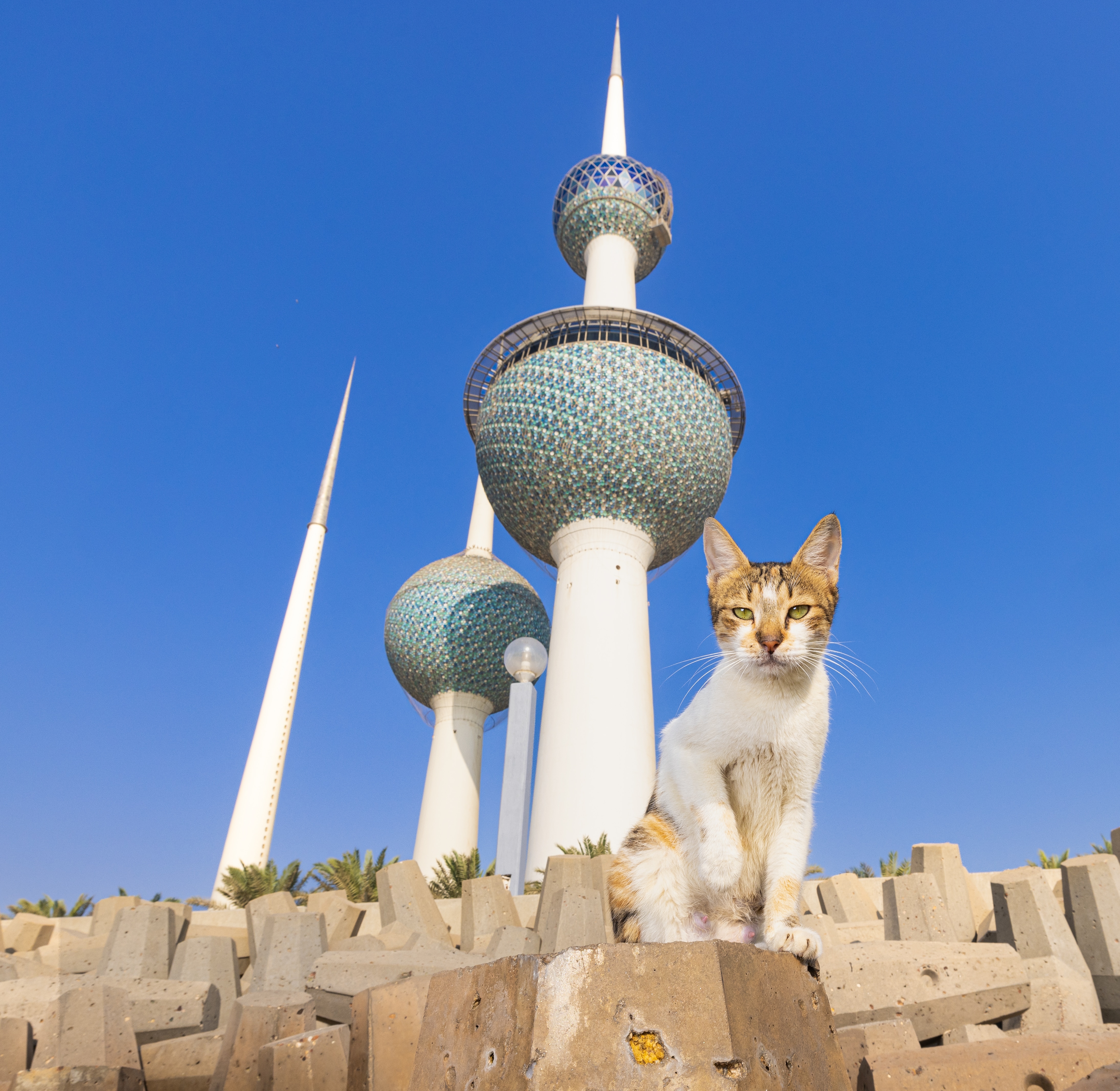 At the Kuwait Towers. (Photo by Andrew Marttila) At the Kuwait Towers. (Photo by Andrew Marttila)