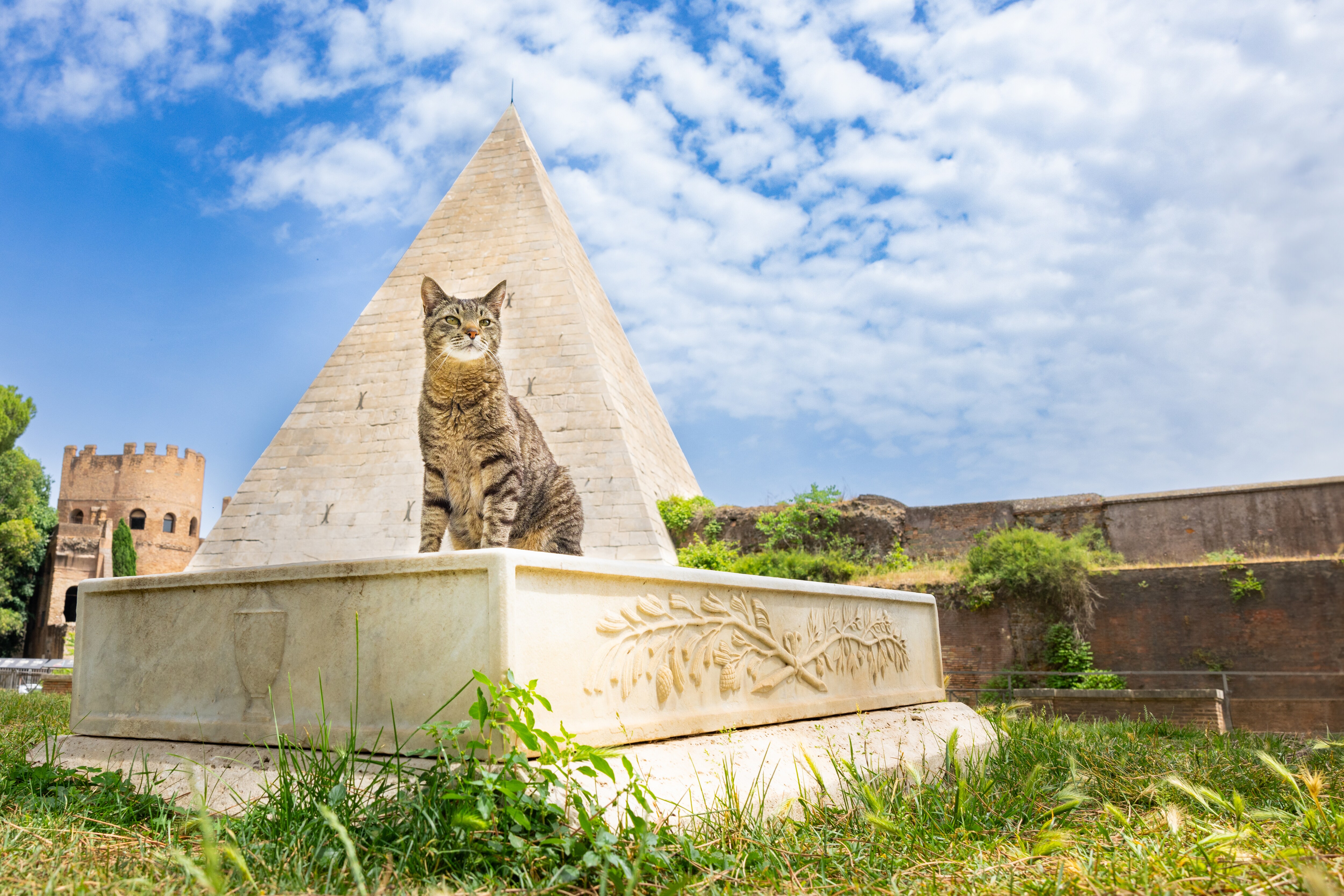 Roman ruins in Italy provide cats with shade, plenty of places to perch, and just enough proximity to humans to suit their needs, writes Shaw. (Photo by Andrew Marttila) Roman ruins in Italy provide cats with shade, plenty of places to perch, and just enough proximity to humans to suit their needs, writes Shaw. (Photo by Andrew Marttila)