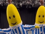 The Bananas in Pyjamas costumes were stolen by the mafia during a tour. The Bananas in Pyjamas costumes were stolen by the mafia during a tour.